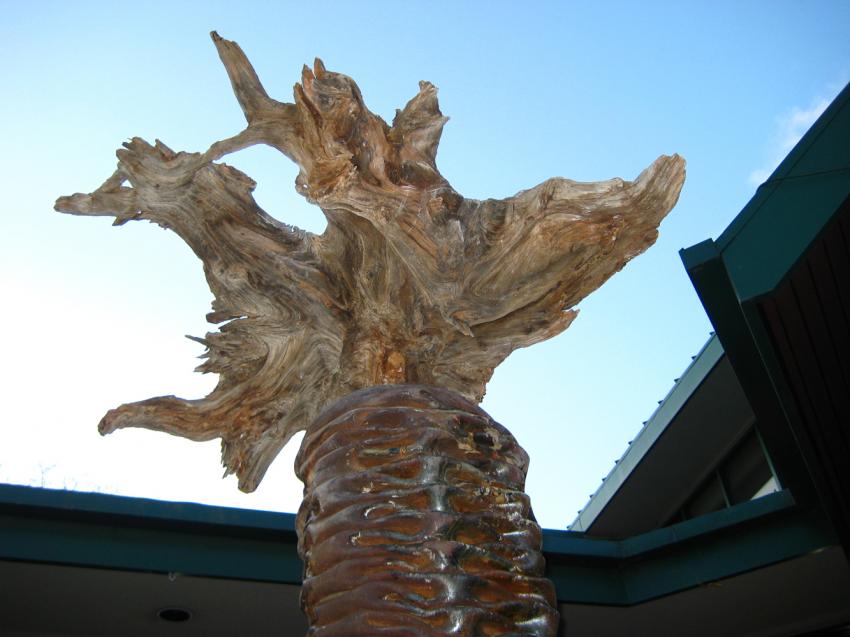 Joshua Wiener_Sculpture