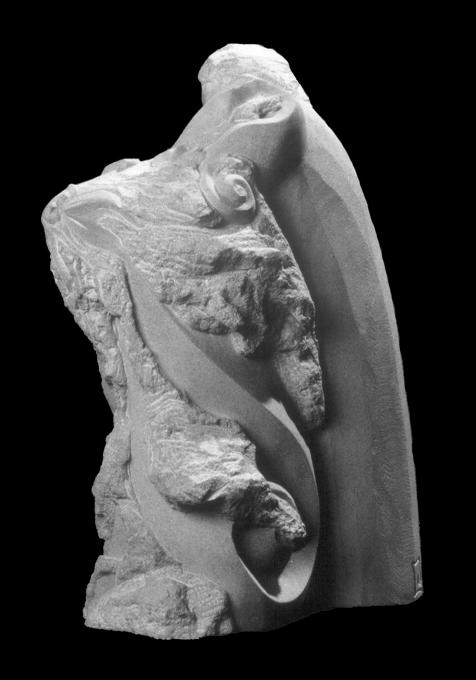 Joshua Wiener_Sculpture